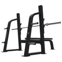 Bodytone-Forza-Bold-Olympic-Flat-Press-02