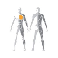 Technogym_Selection_Pectoral-prsne-svaly