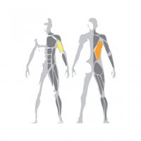 Technogym_Selection_Pulldown_posilnovac_chrbat-768x768