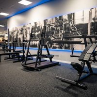 GYMLECO-PLATE-LOADED-ISO-LATERAL-STANDING-CHEST-PRESS-img4