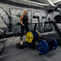 082-gymleco-belt squat-01