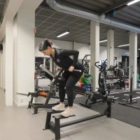 115-gymleco-t-bar-row-04