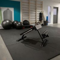 GYMLECO-ROMAN-CHAIR_img2