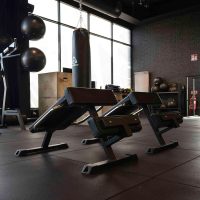 GYMLECO-ROMAN-CHAIR_img3