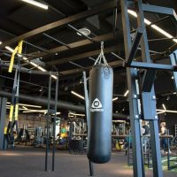 gymleco-complete-crossbox-station-rig_04