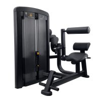 Life-Fitness-Insignia-Back-Extension_1500px_01