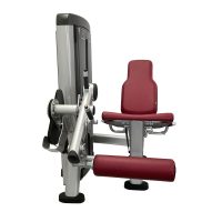 LF-Insignia-Leg-Extension_01