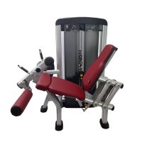 LF-Insignia-Leg-Extension_03