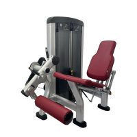 LF-Insignia-Leg-Extension_04
