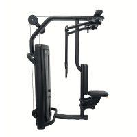 LF-Insignia-Pectoral-Fly_Rear-Deltoid_01