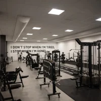 495-gymleo-carriage-for-handles-02