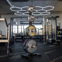 820-Gymleco-Calibrated-Steel-Weight-Plates-with-Handle-03