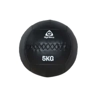 789-2-gymleco-wall-balls-04