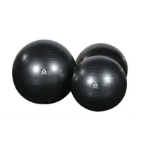 A-D55-gymleco-gymastic-ball-01
