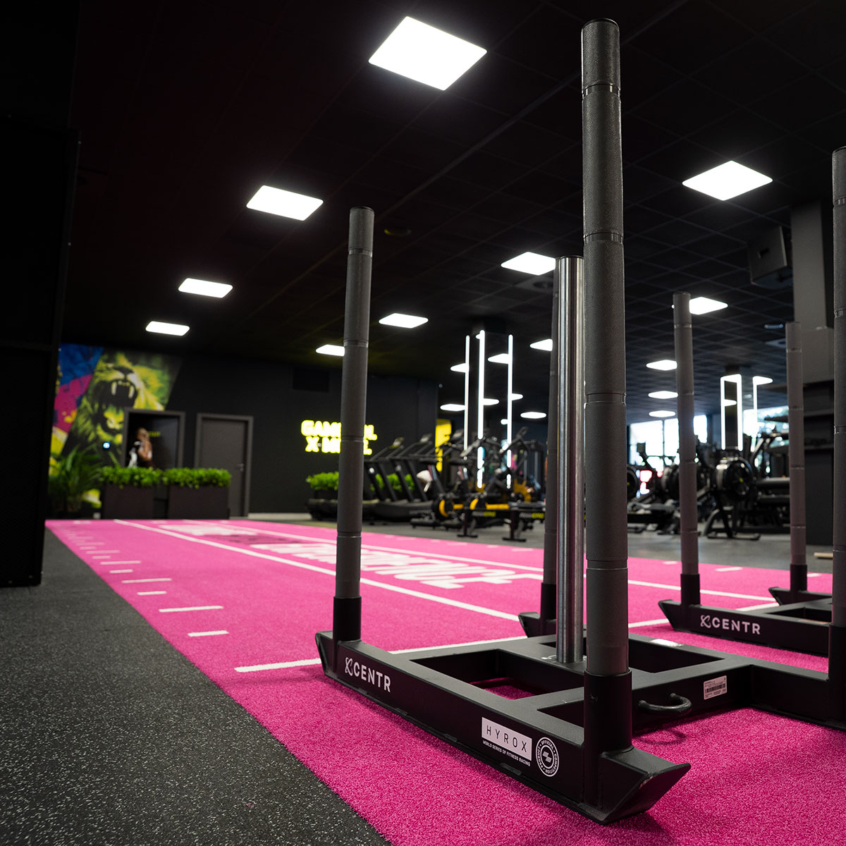 hyrox-zona-gymx hyrox sane na ruzovom koberci v GymX
