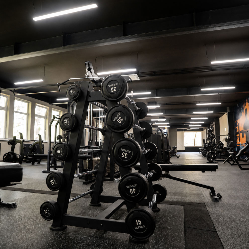 ziva-v-if-gym-zlate-moravce